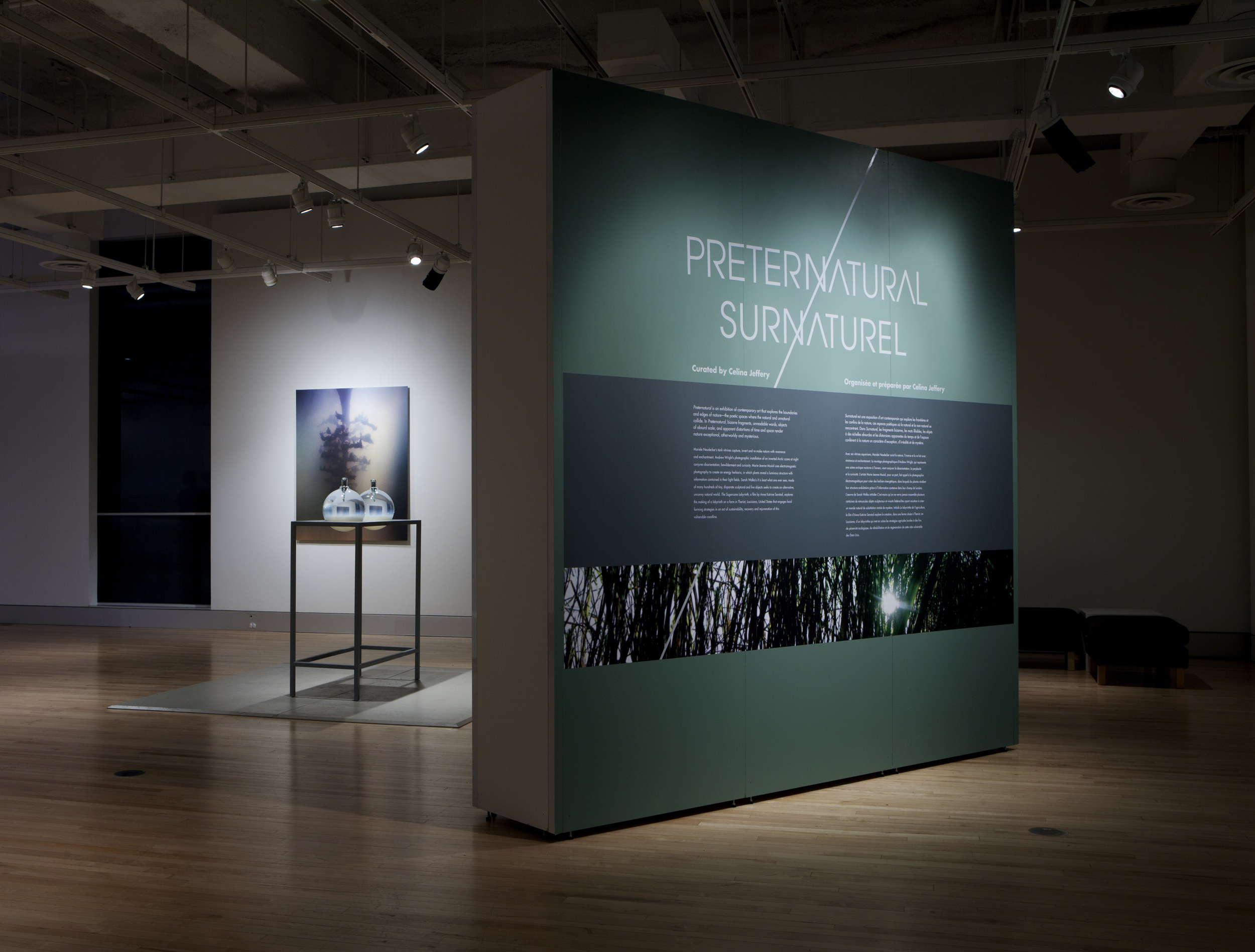 Museum_Nature.jpg