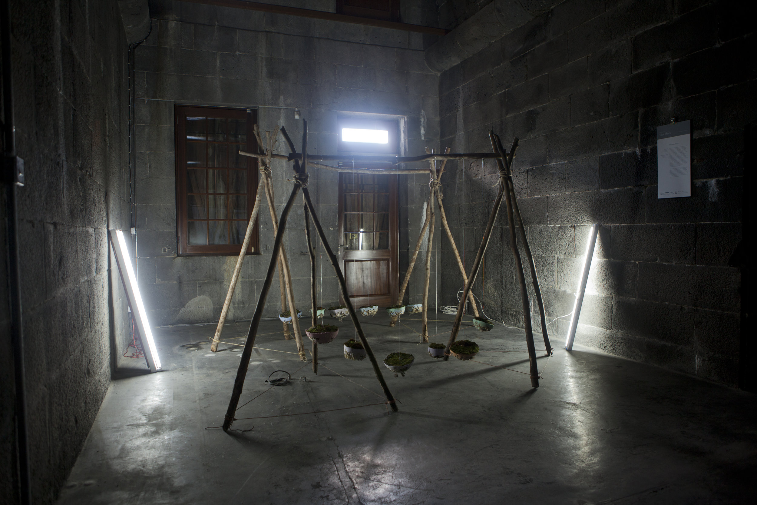 'Balancing Act', 2016 in Edge Effects , La Citadelle