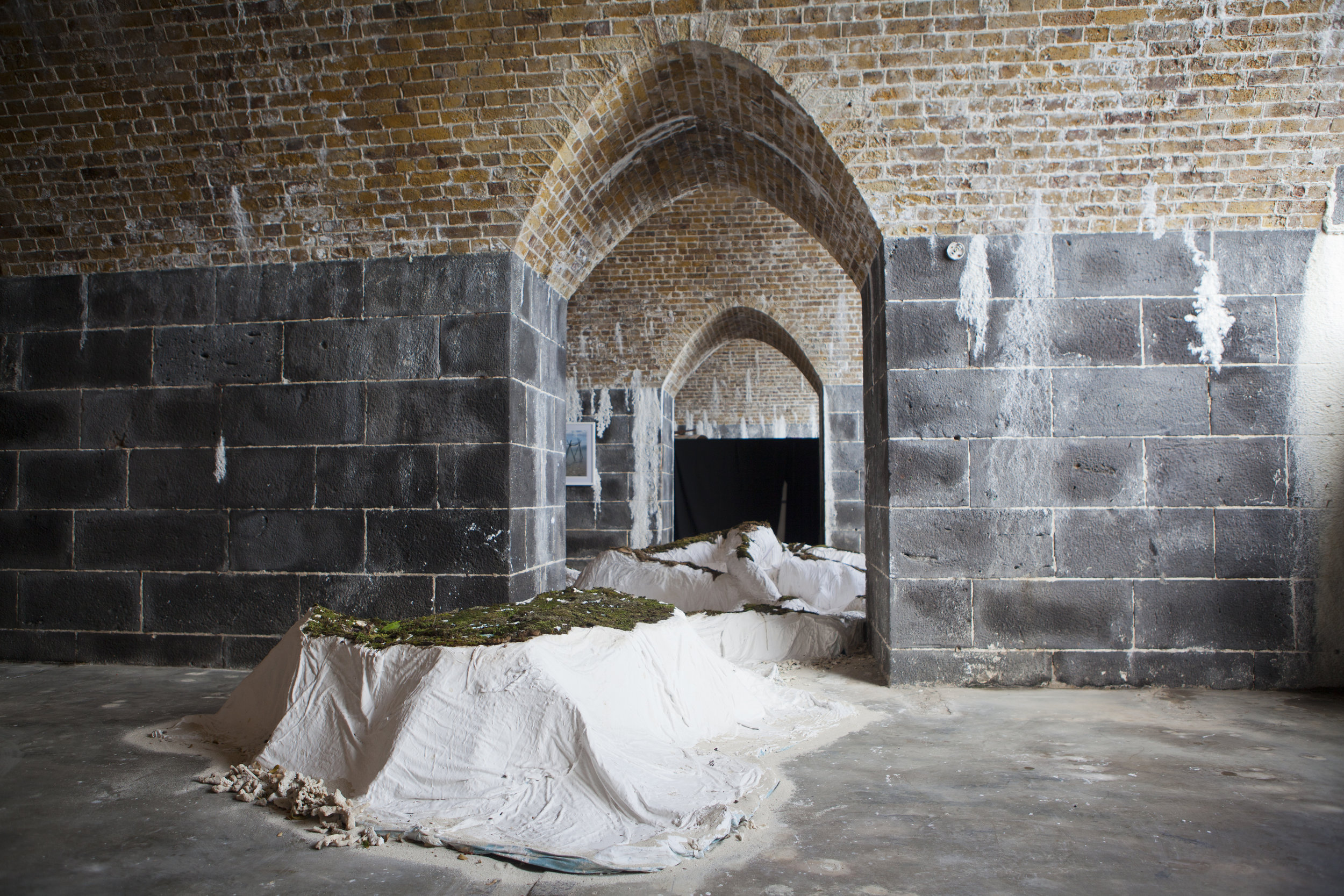 'Arise', Edge Effects', La Citadelle, 2016