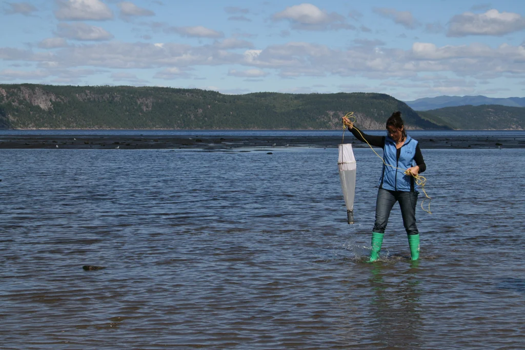 Résidence au Musée du Fjord en collaboration avec le Centre d'artiste Séquence, cueillette de plancton, La Baie (Québec), Canada Photo credit : Sonia Boudreau