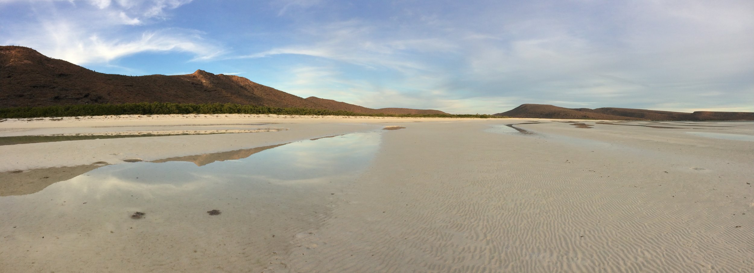 Isla Espíritu Santo, La Paz, Mexico