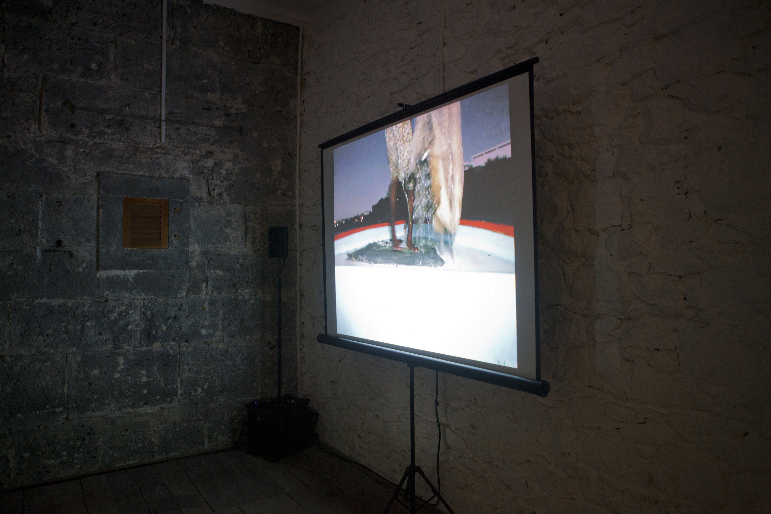 Diana Heise, Installation view, Edge Effects, La Citadelle, Mauritius, 2016.