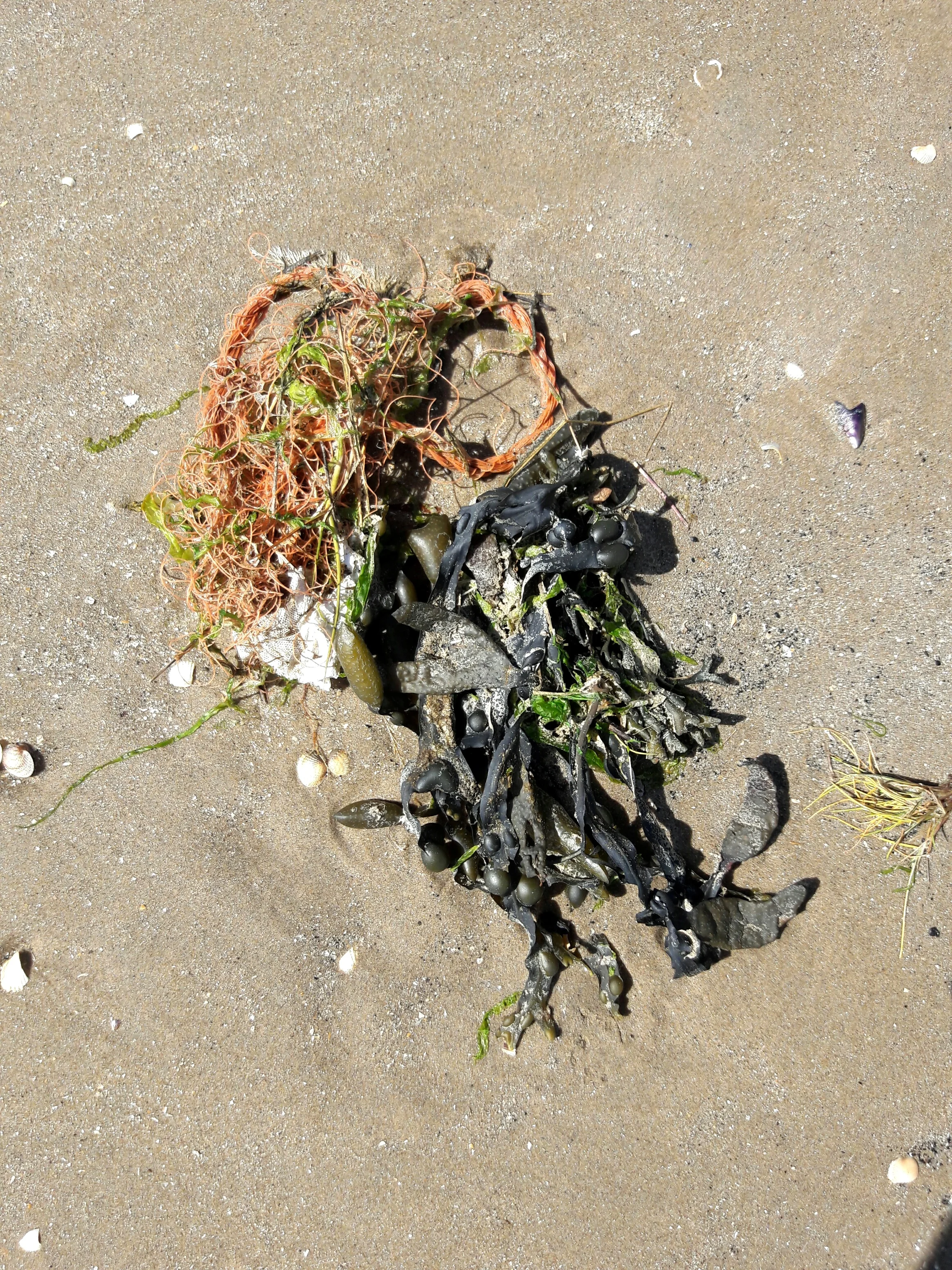 Pam Longobardi, Buried Mini Netball , 2017