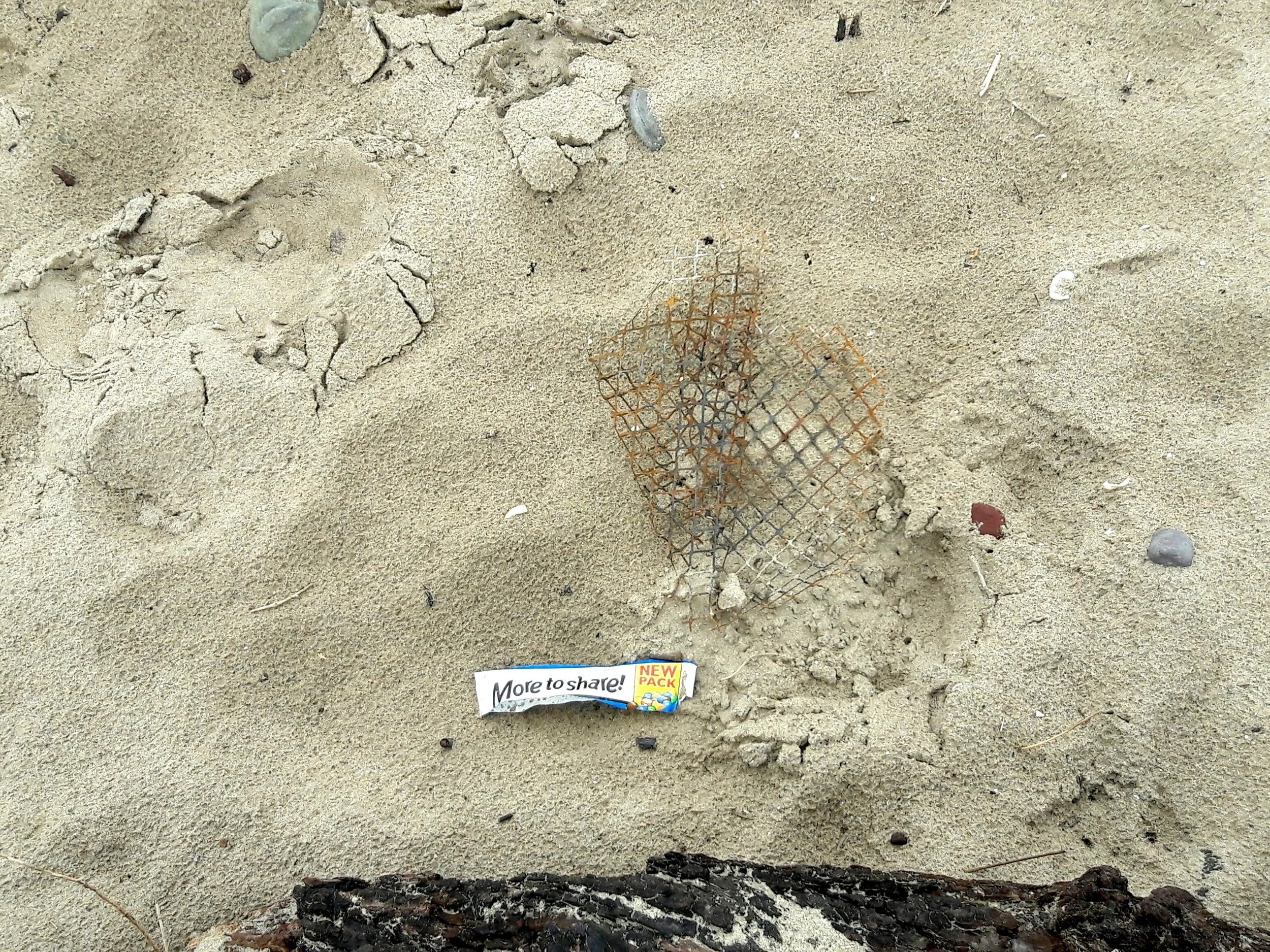 Pam Longobardi, Shared Plastic , 2017