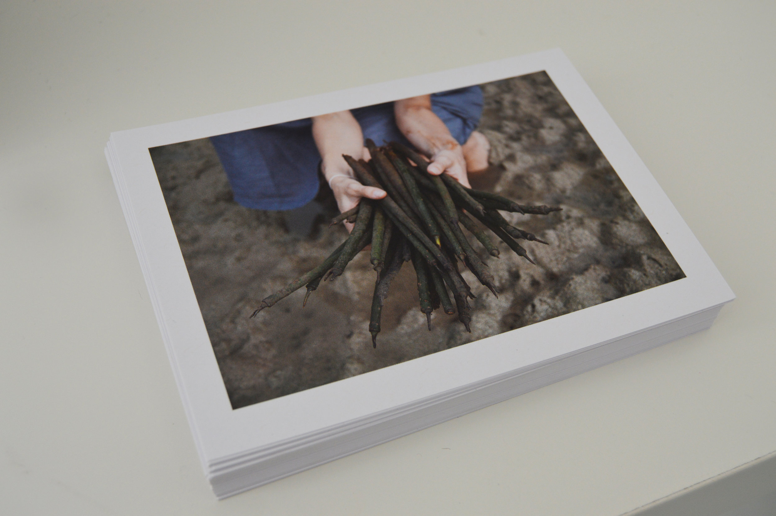 Diana Heise, SEEDED , 2016. Performance, 6 archival pigment prints.