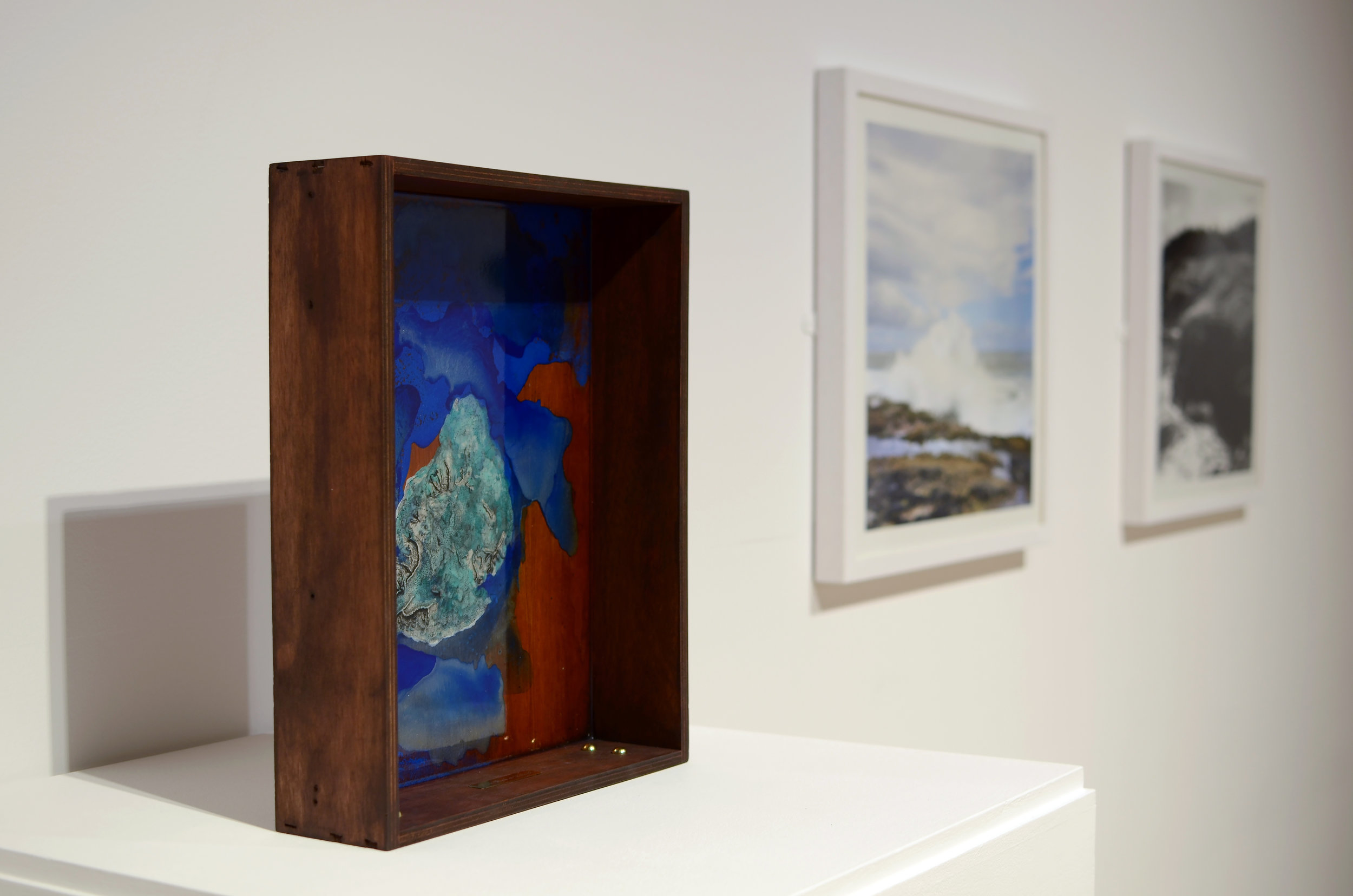 Shiraz Bayjoo Installation view, These Waters