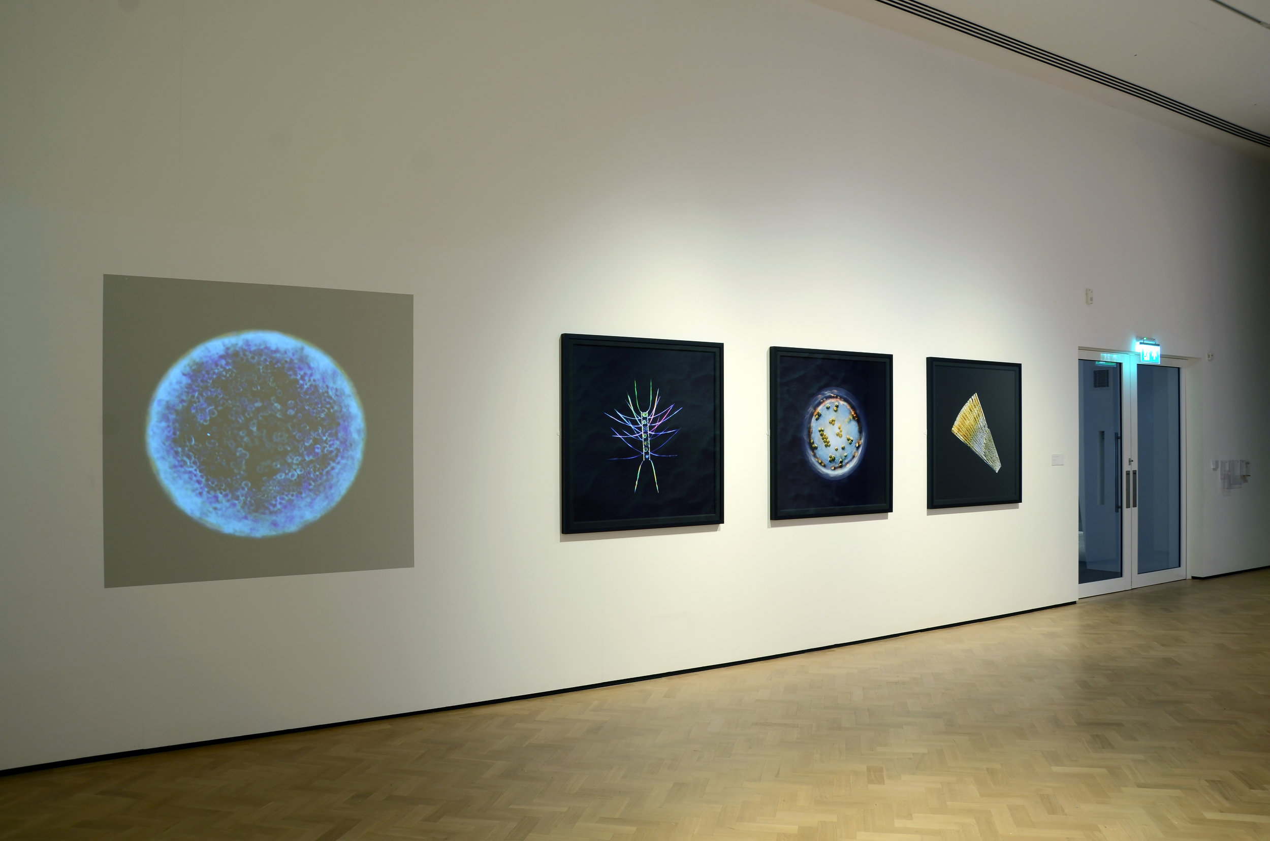  Christian Sardet and The Macronauts  Installation view   These Waters Have Stories To Tell   Glynn Vivian Art Gallery, Swansea, UK  2018 