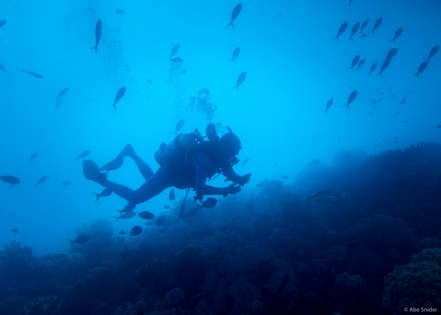 One of my fellow divers on the PADI Openwater Course. 