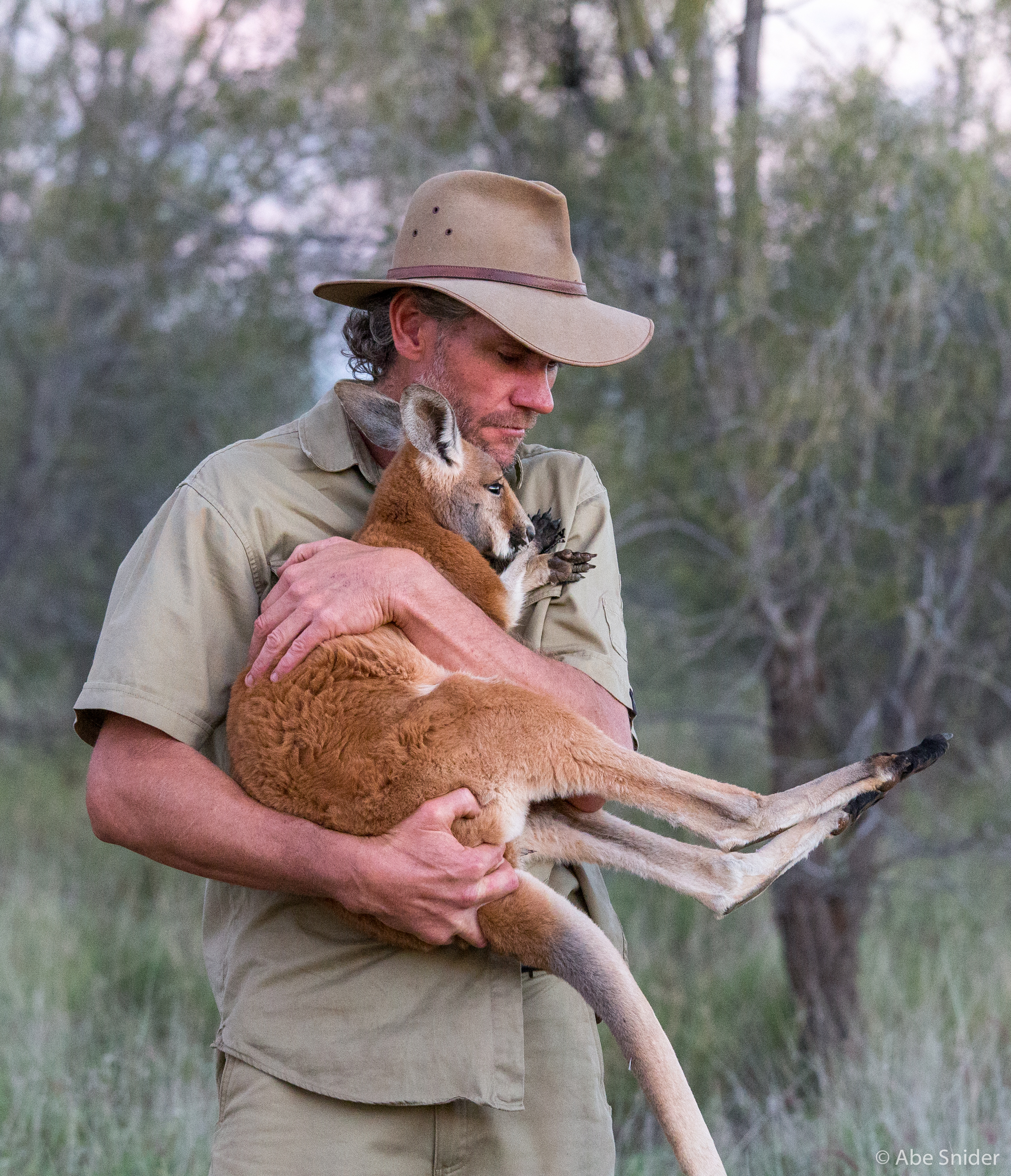 Kangaroo Dundee