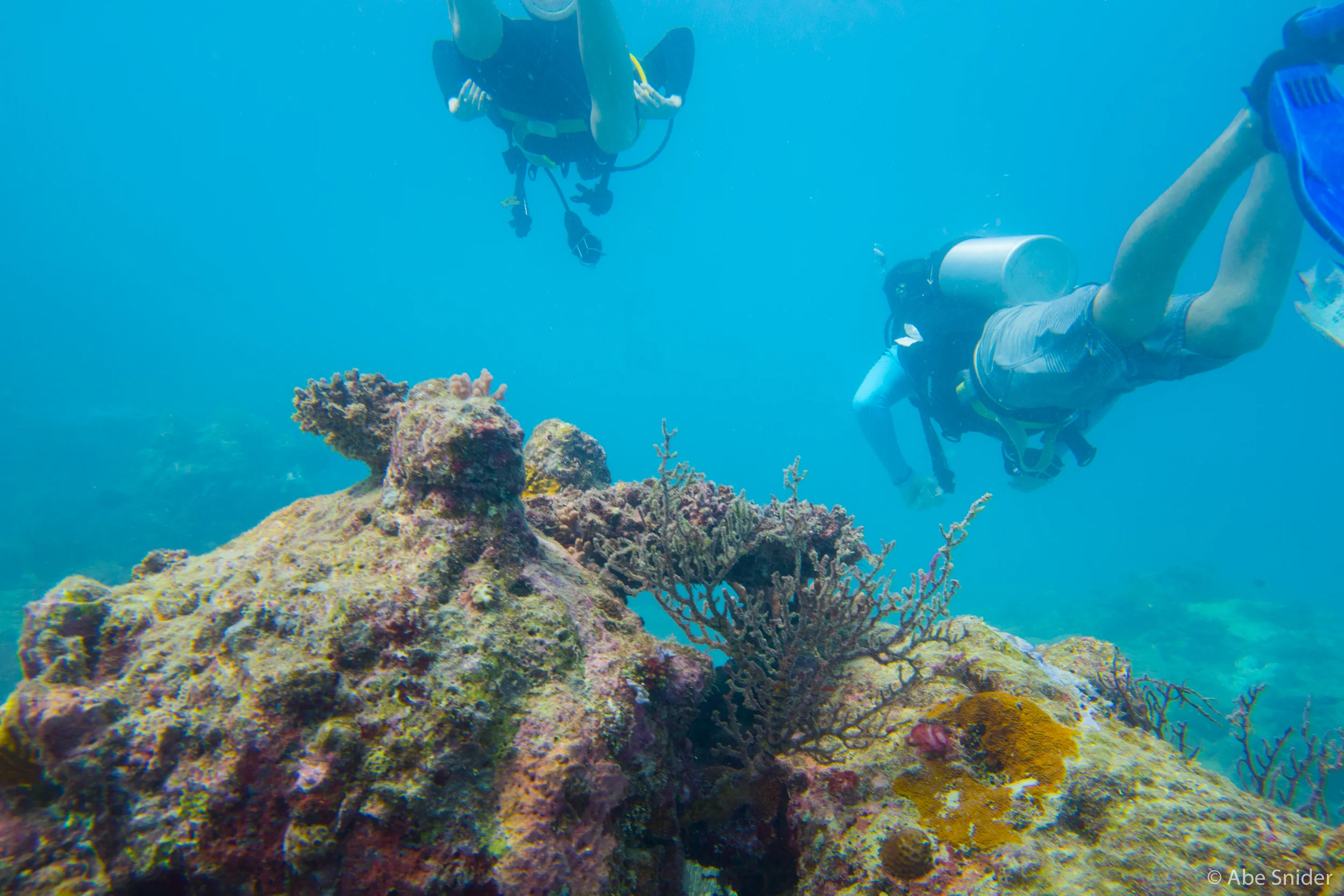 Diving friends