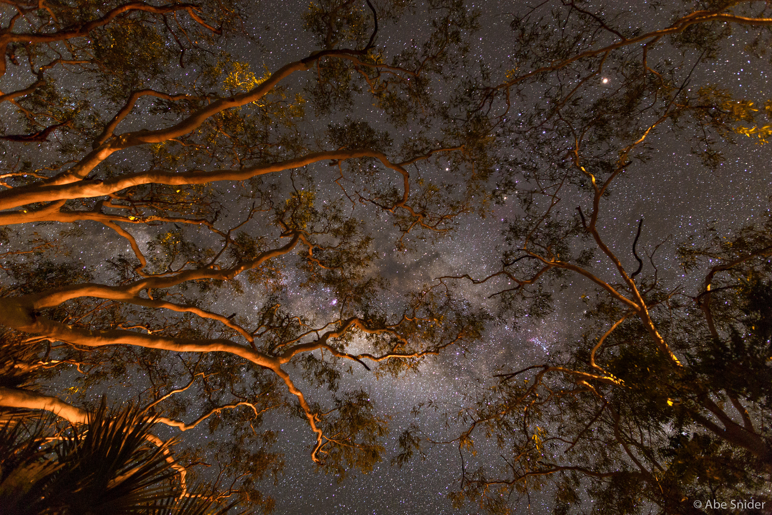The last night of stargazing at Mataranka. 