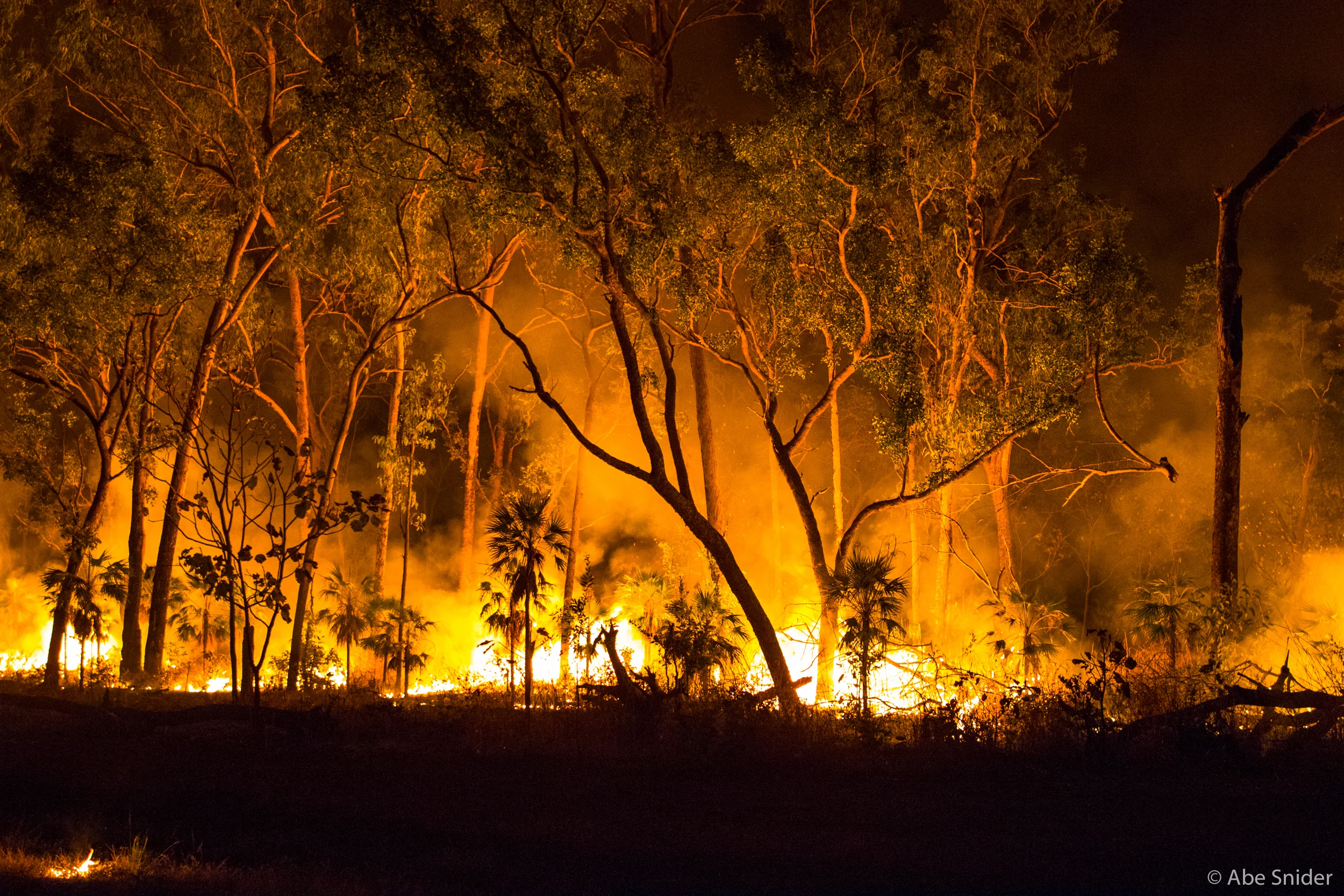 The flame in the lower left was a few inches from the roadside. 