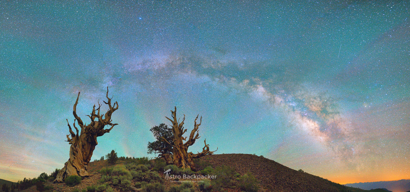 Color and Shadow/Highlight control made processing this panorama far easier than in Lightroom. Ancient Bristlecone Pine Forest, California - USA