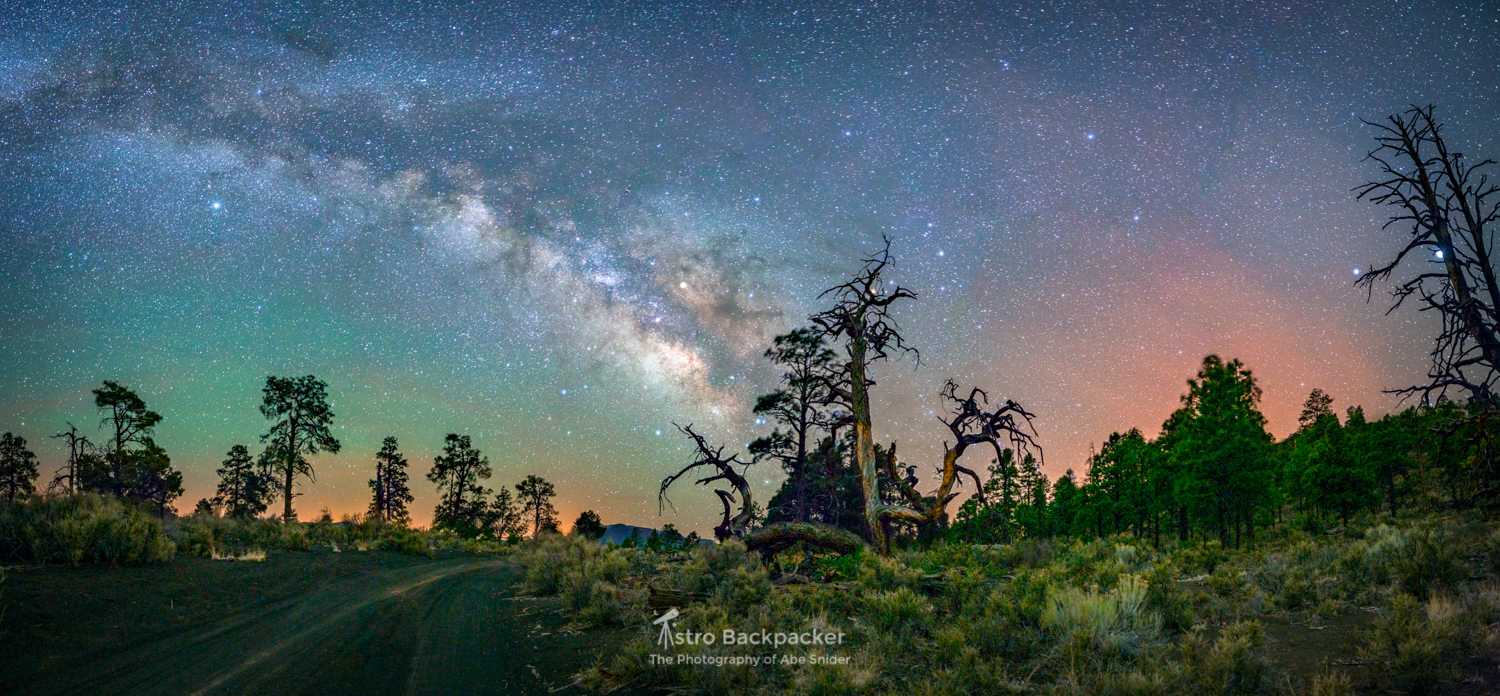 The trees in the Sunset Crater microclimate don't know how to grow like all the other trees.