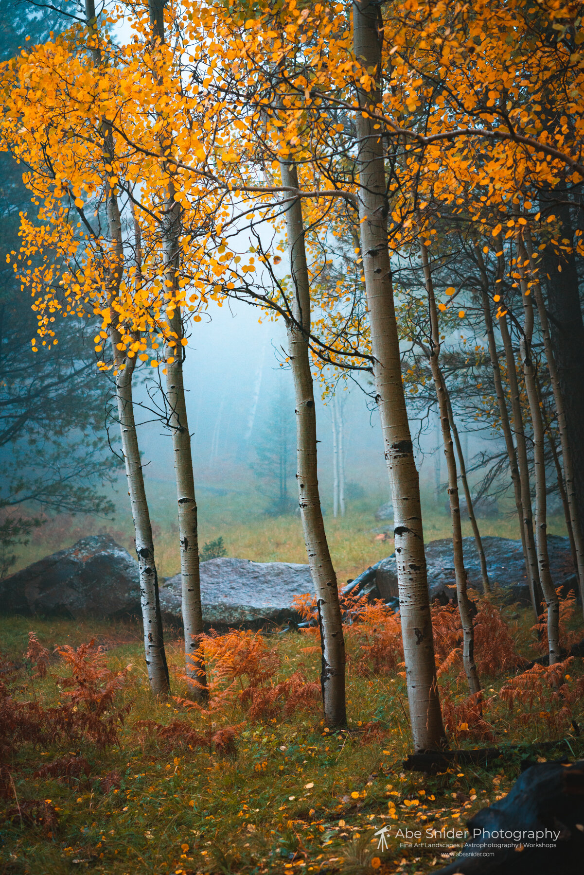 Autumn on the San Francisco Peaks