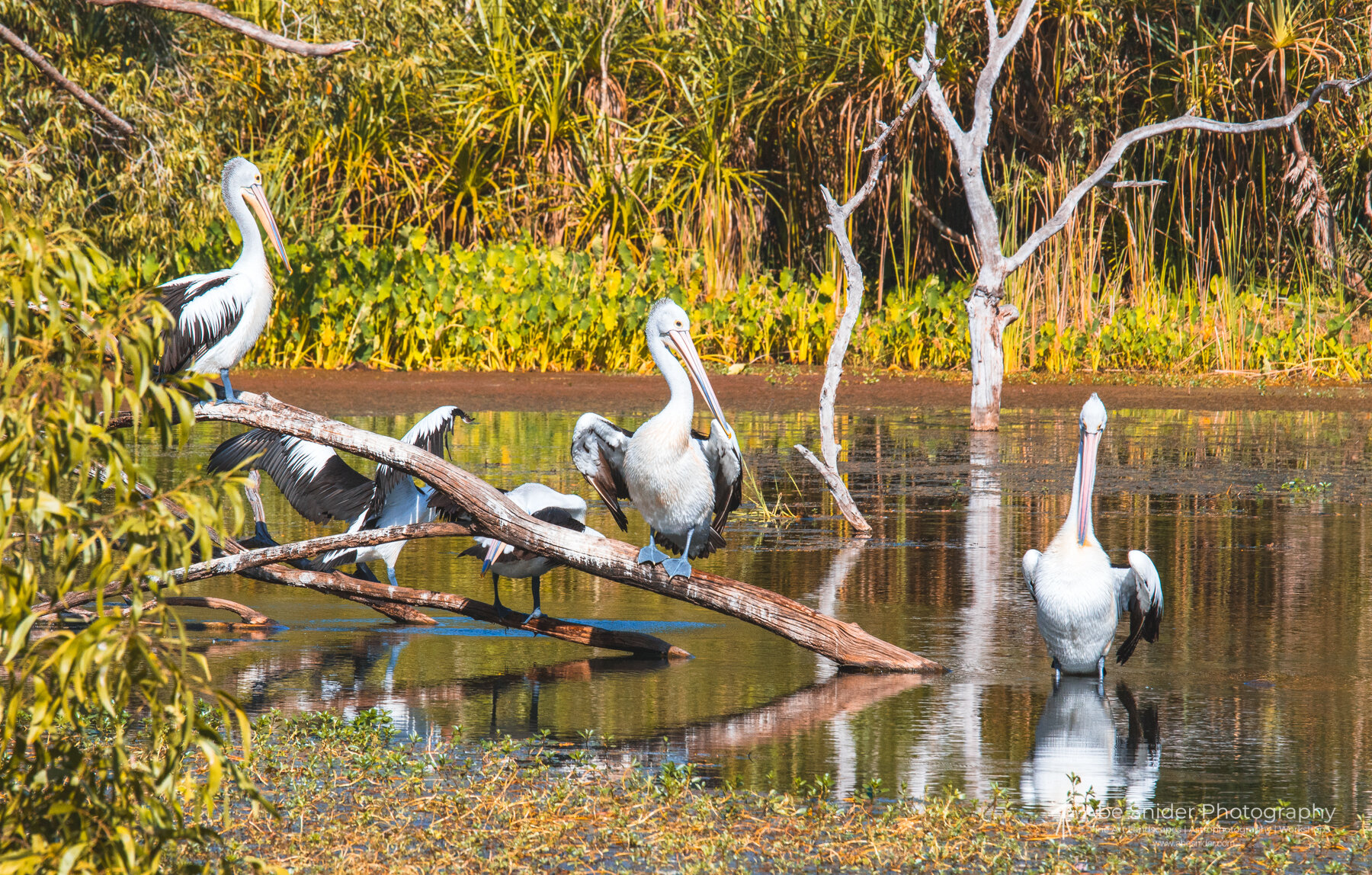 Kakadu National Park, Darwin Australia 