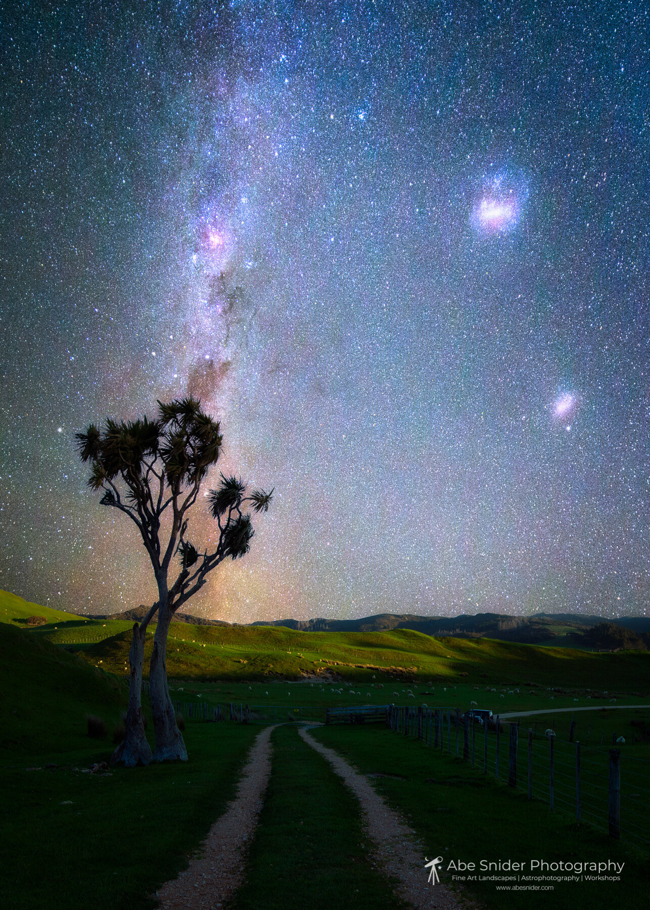 Pakawau, New Zealand 