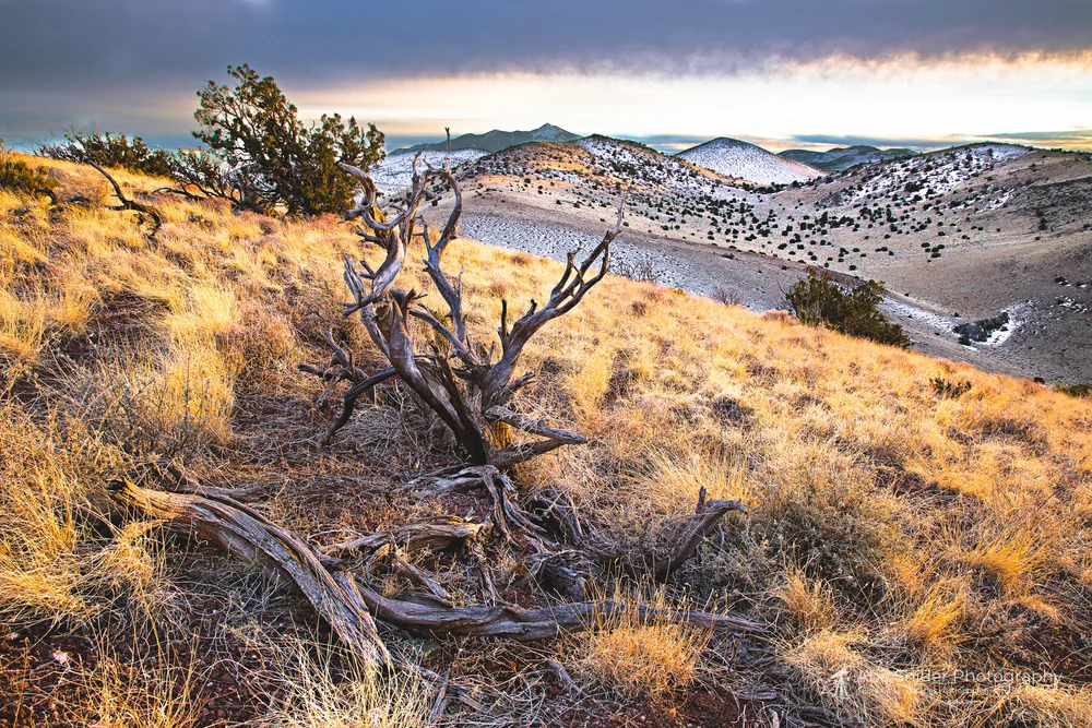 Volcano Fields, Northern Arizona