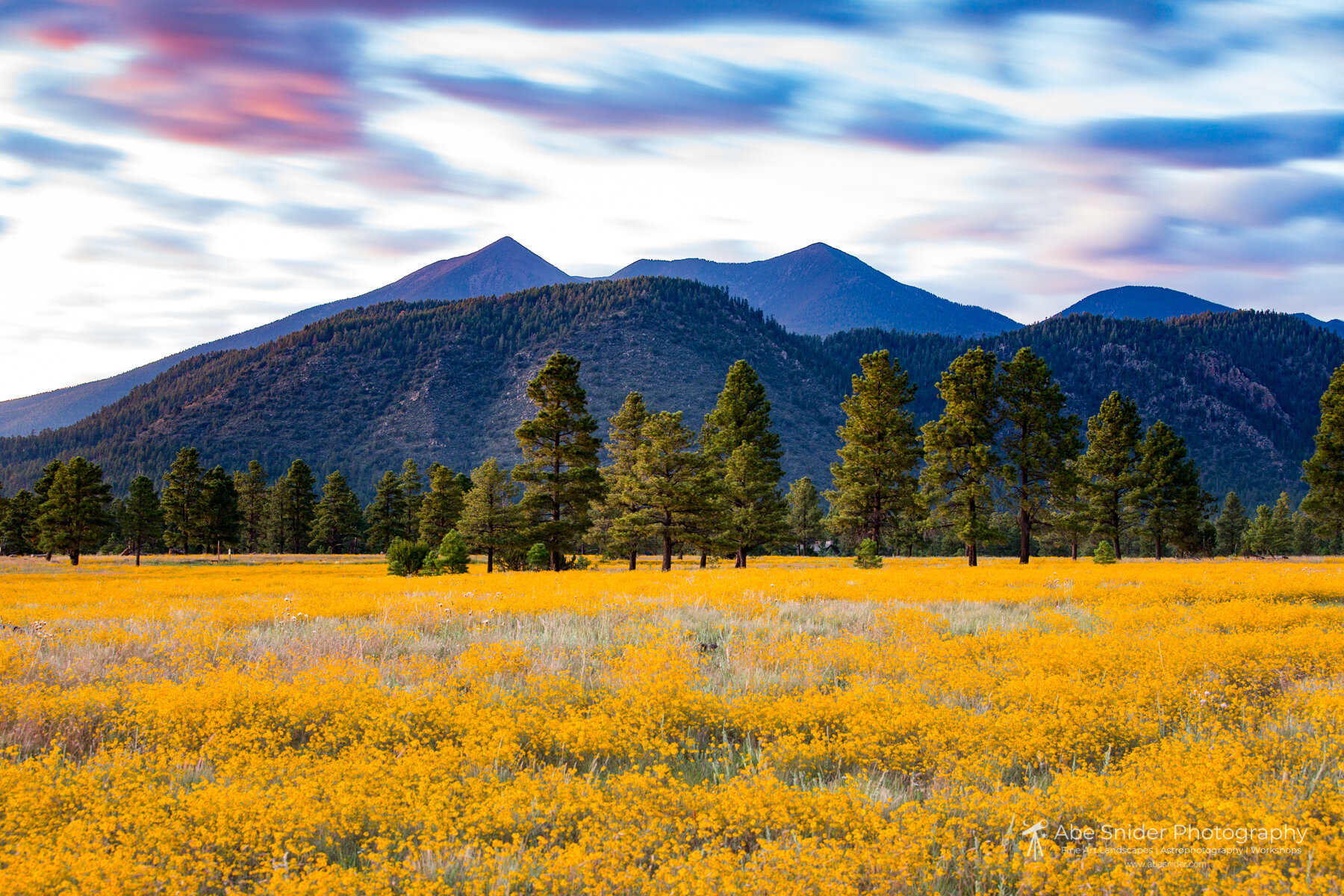 Buffalo Park, Flagstaff