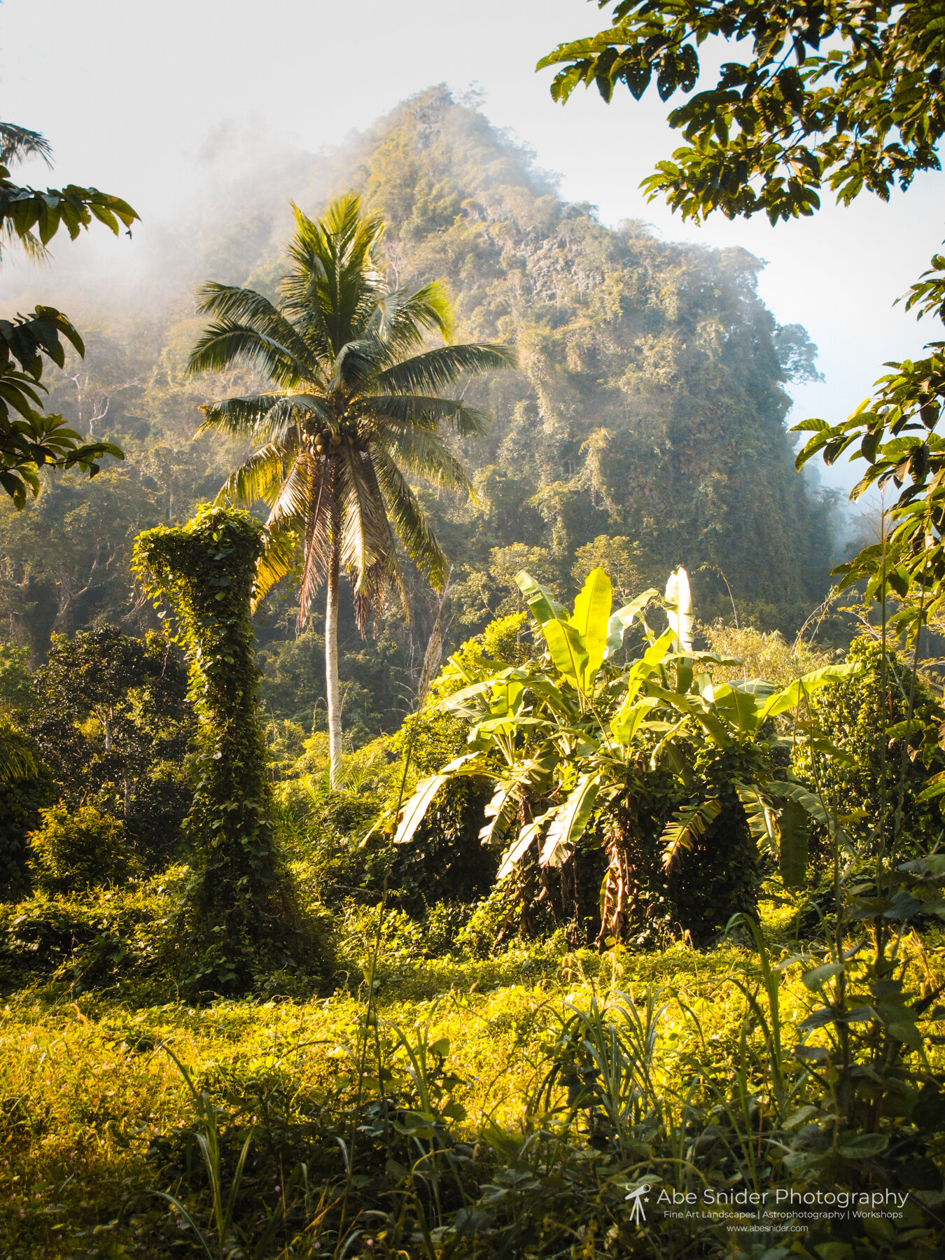 Khao Sok National Park, Thailand 