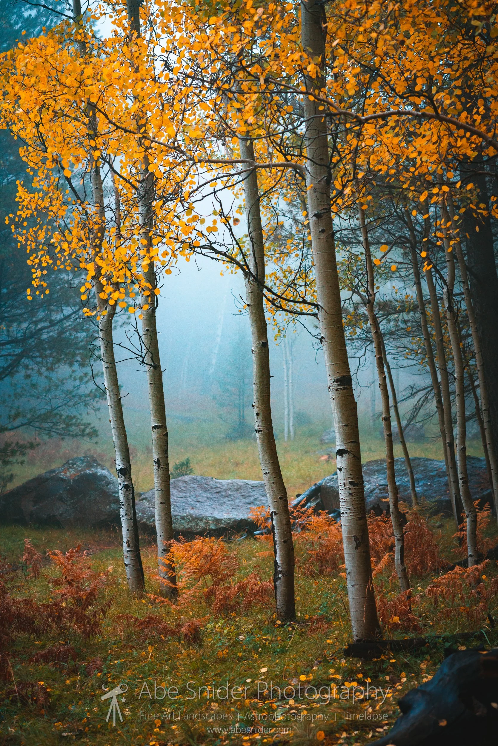 7_7R305305-Edit.jpg