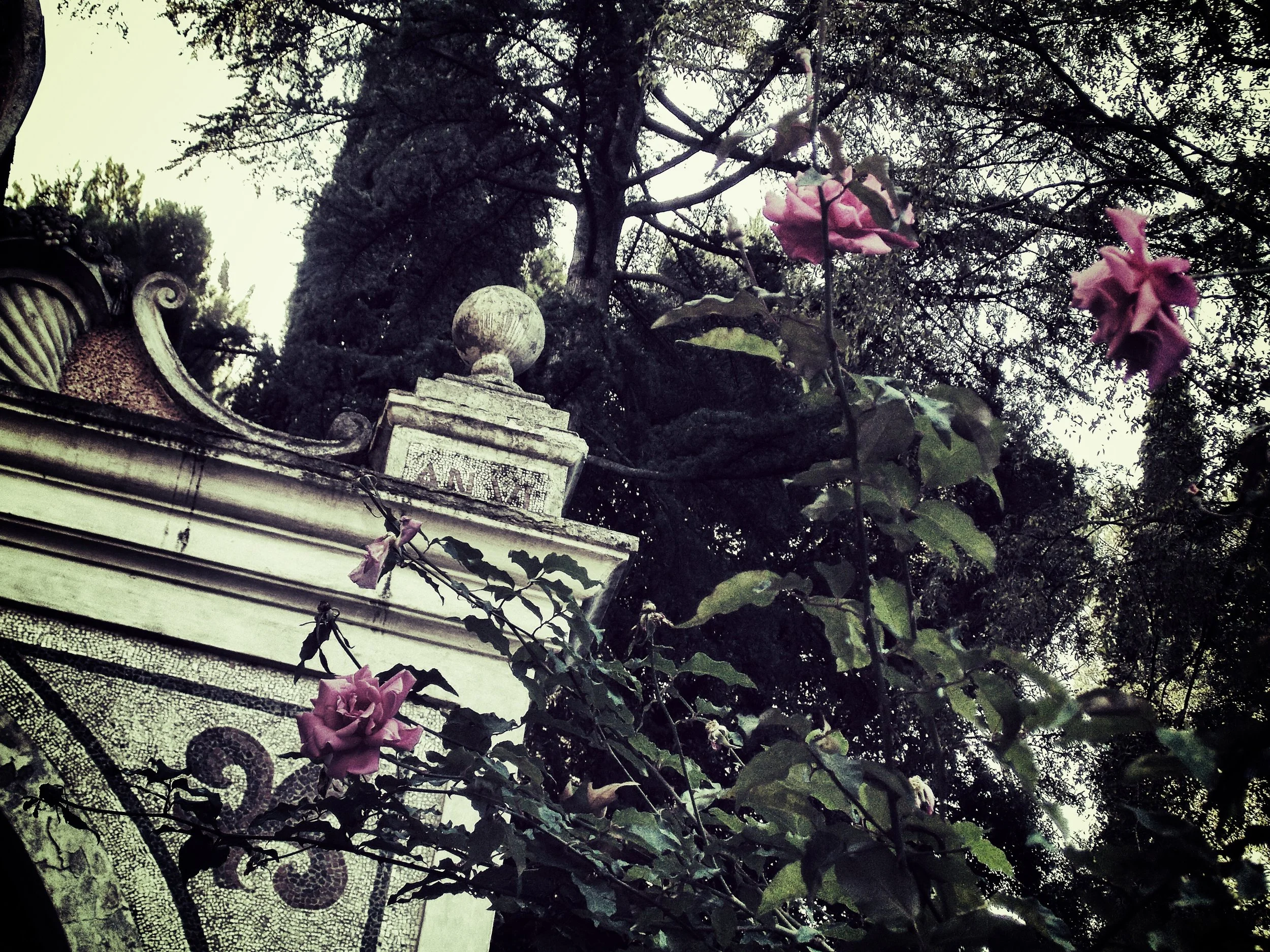 DSCN3520_Snapseed.jpg