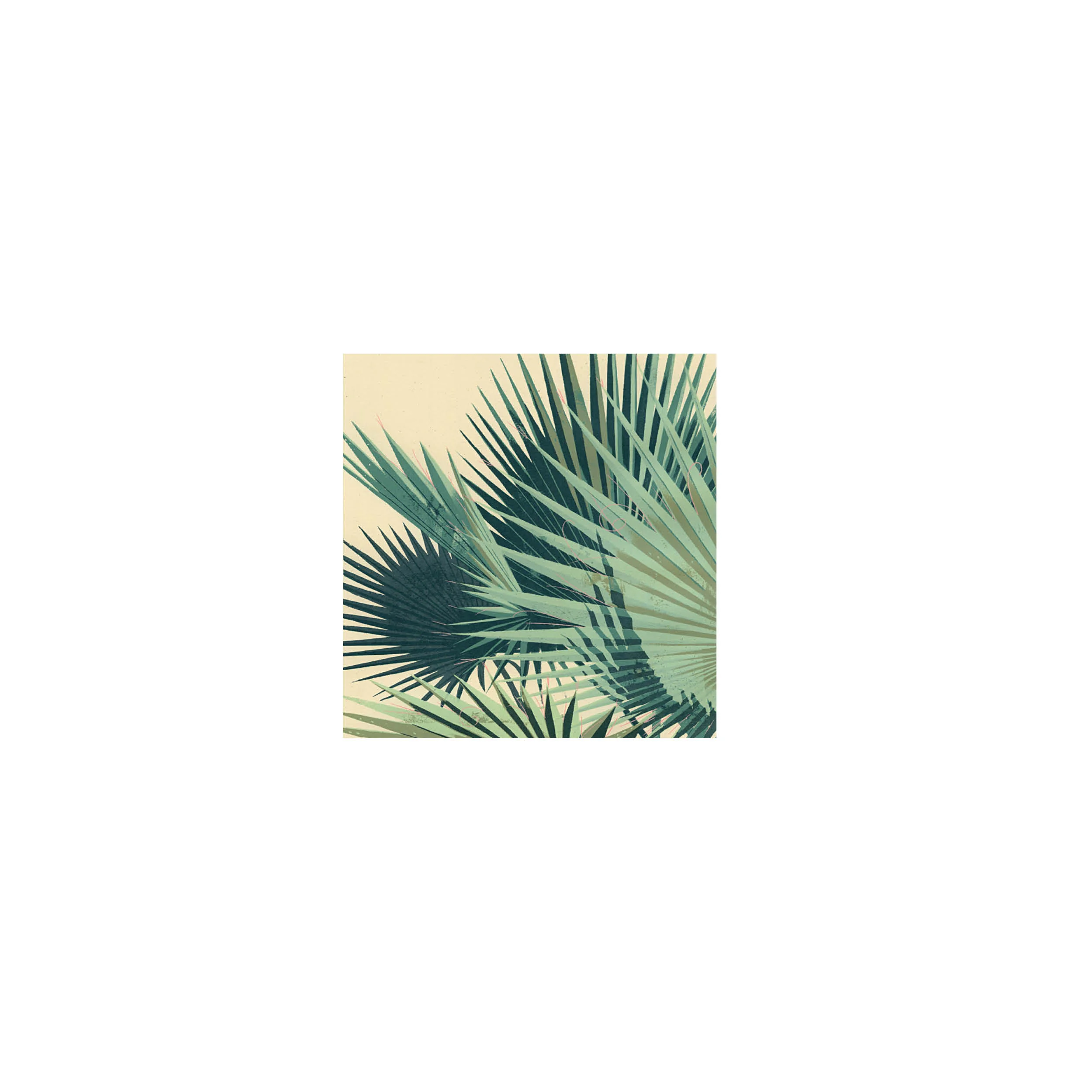 The Palm House- An introduction2.jpg