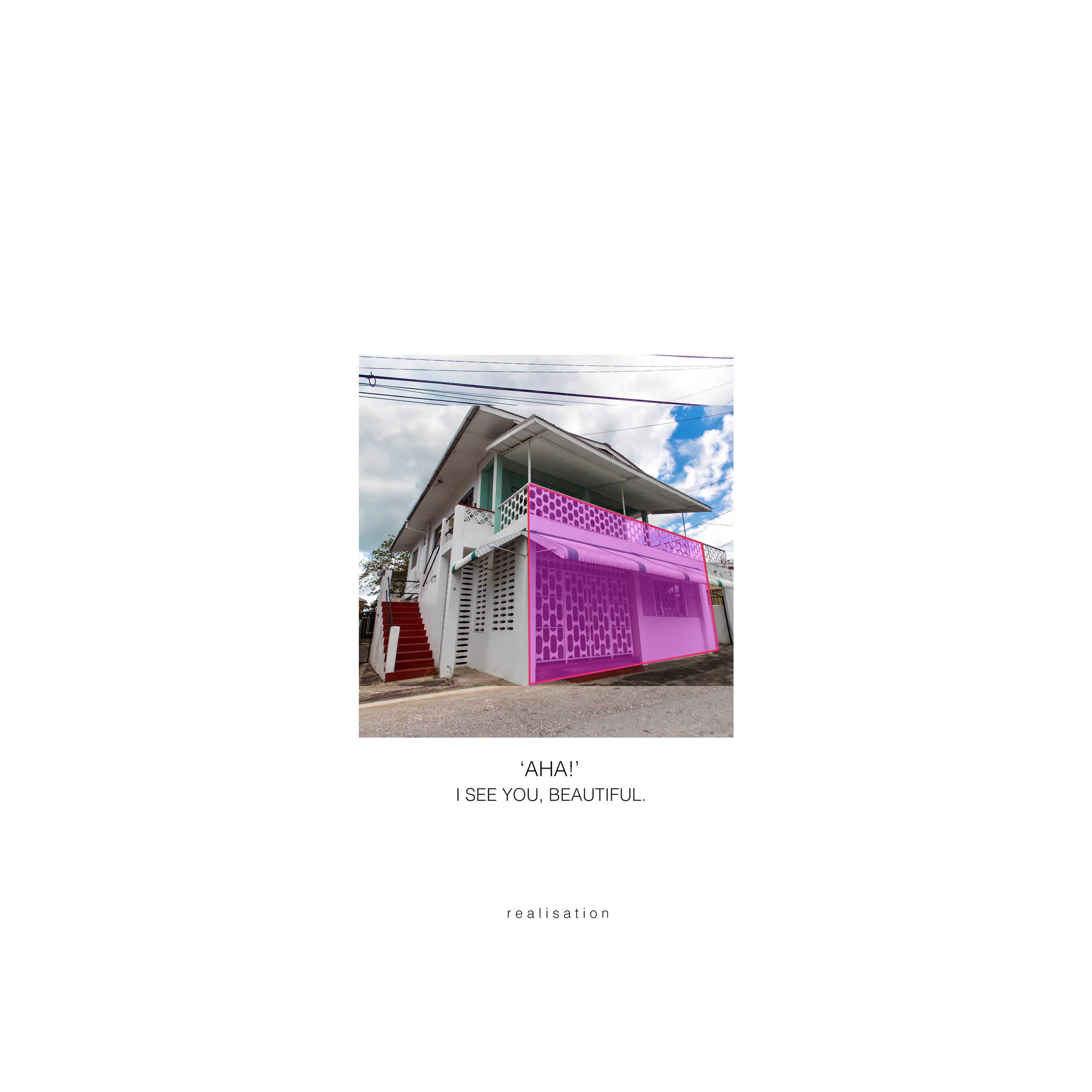 The Palm House- An introduction12.jpg