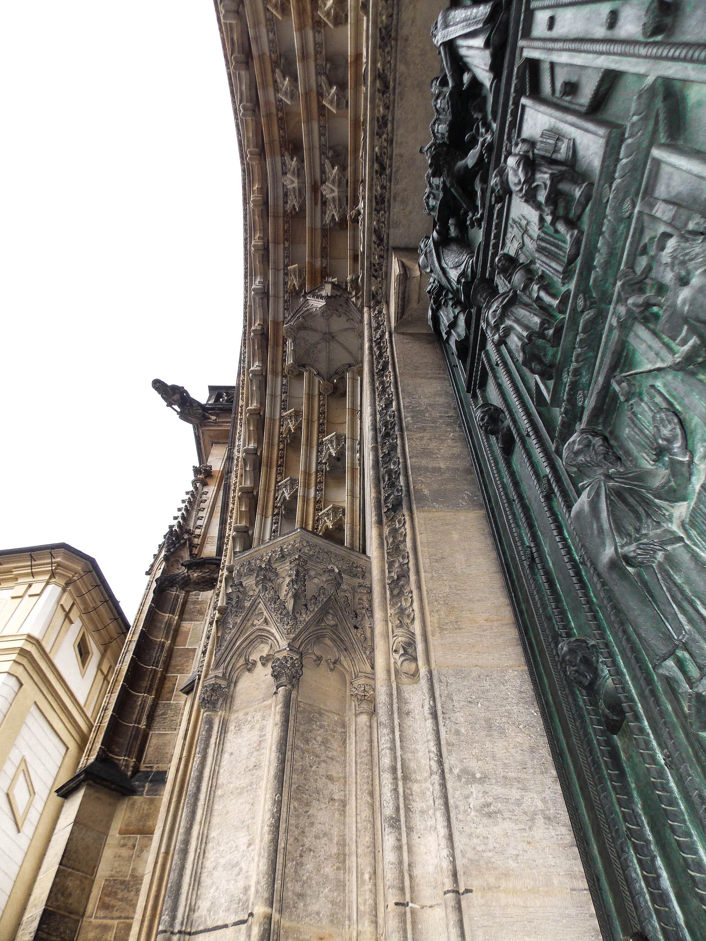 DSCN7231.jpg