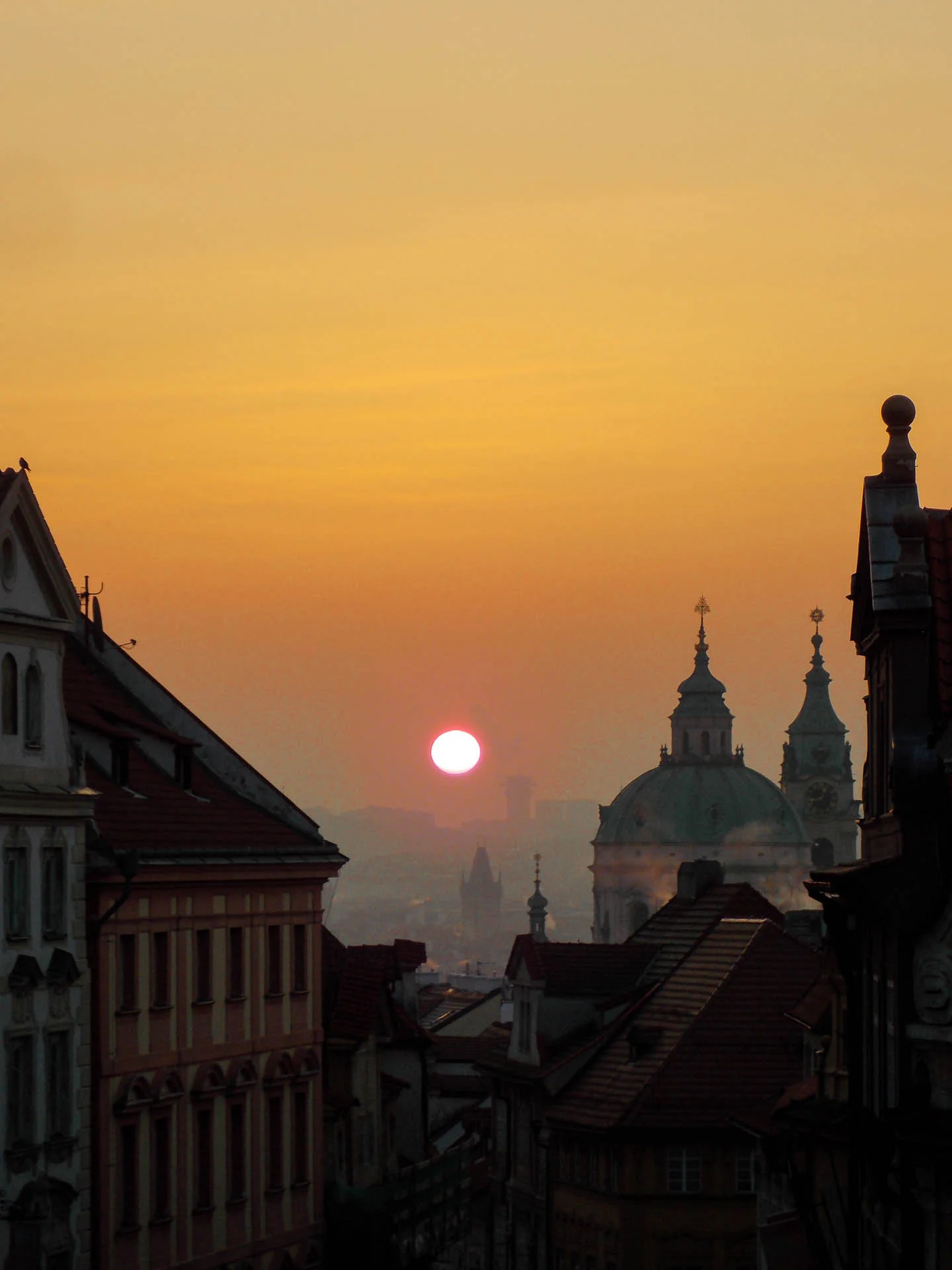 DSCN7262.jpg