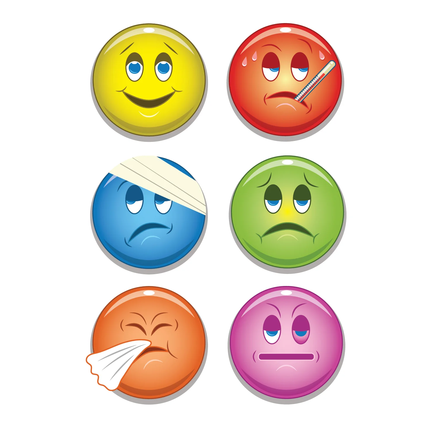 Excellus Blue Cross/Blue Shield