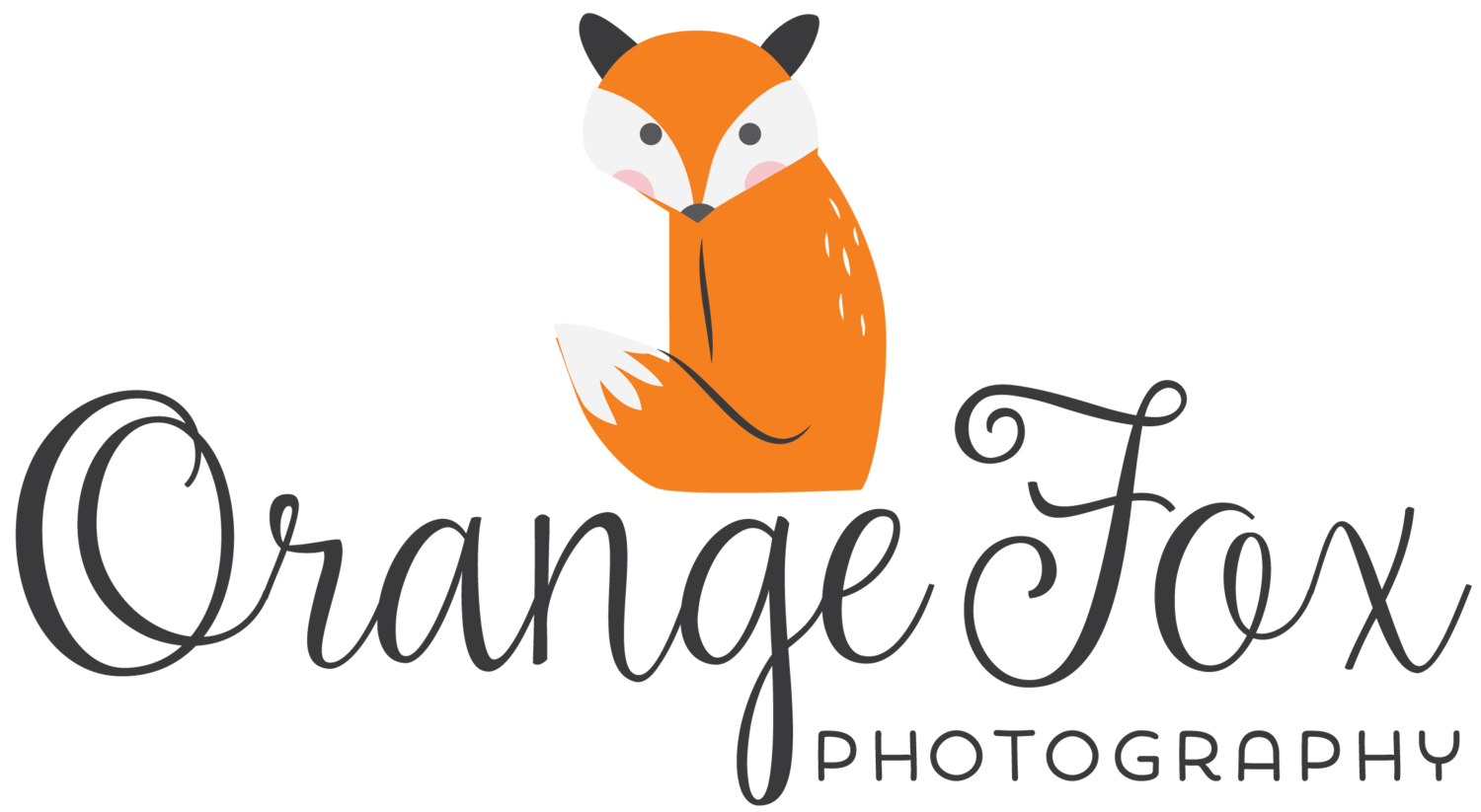 Orange Fox Photography