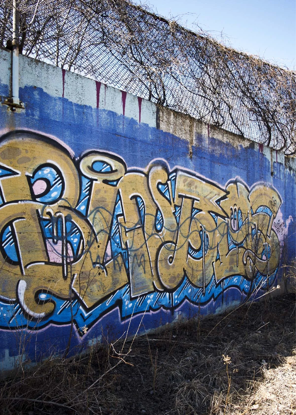 DSC_0418-01.jpg