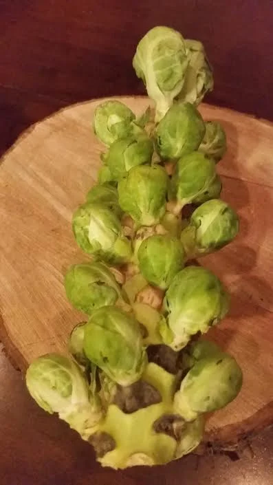 Brussels Sprouts