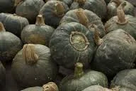 Buttercup Squash
