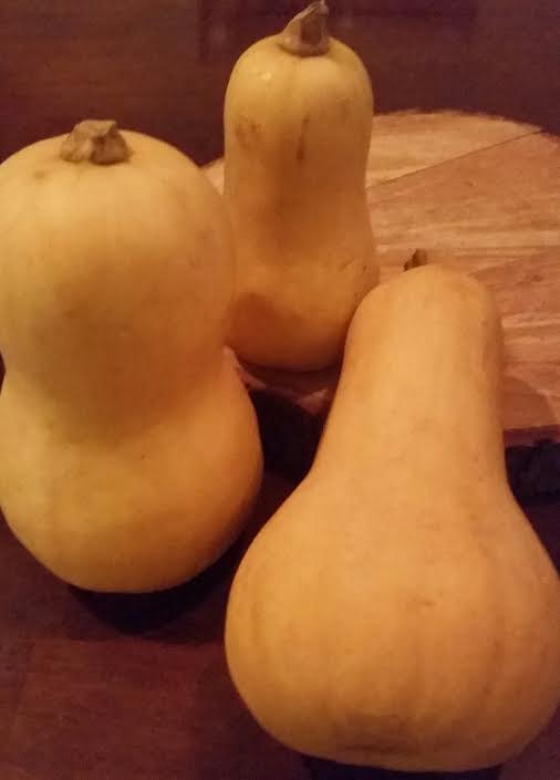 Butternut Squash