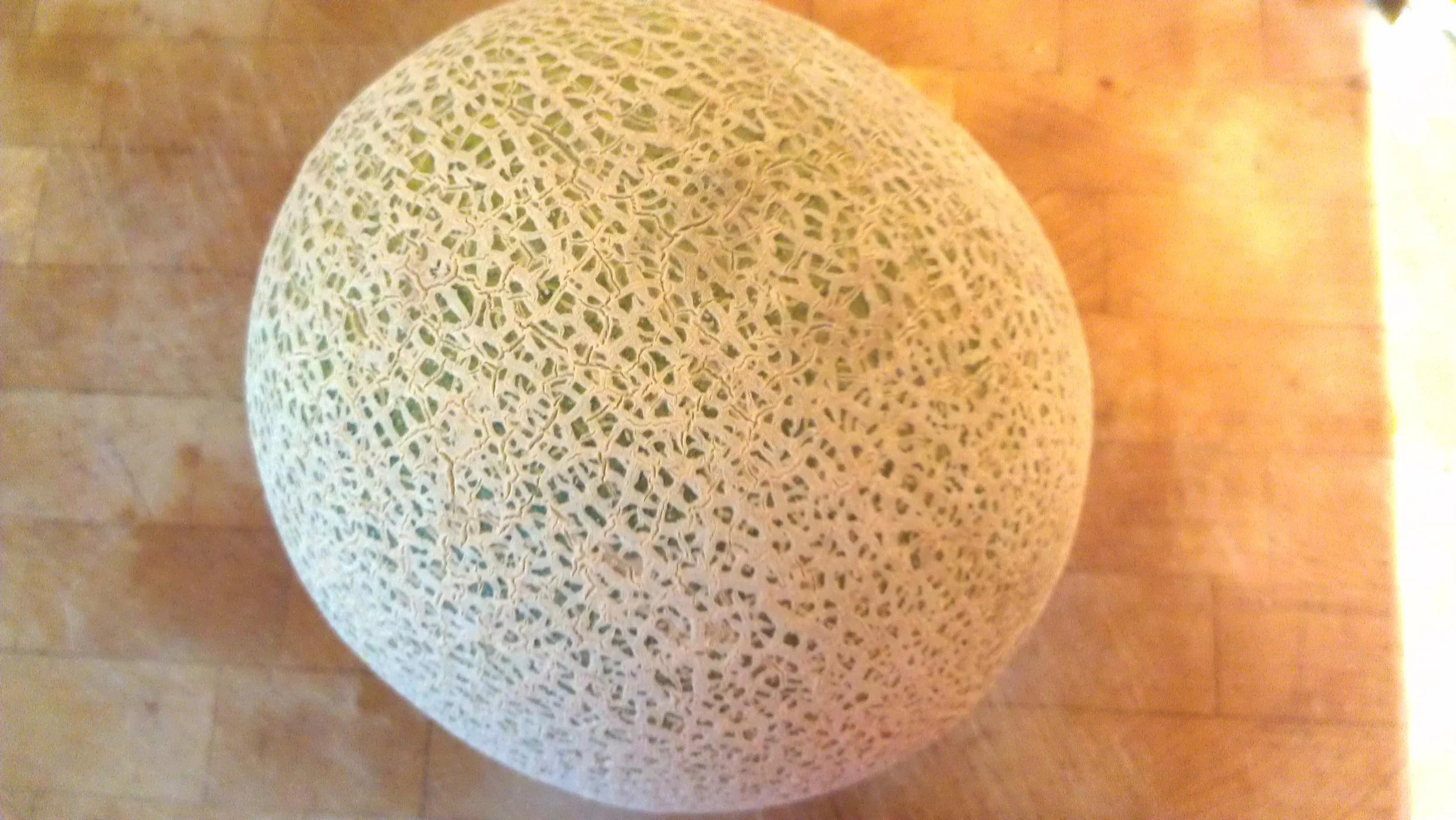 Cantelope