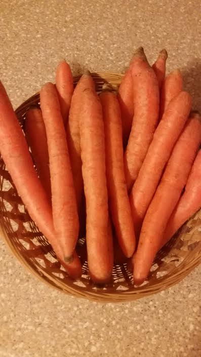 Carrots