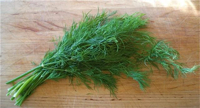 Dill