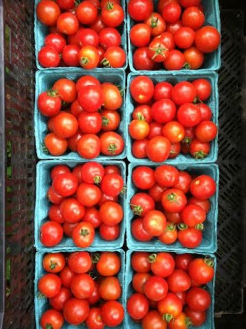 Cherry Tomatoes