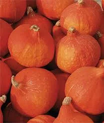 Red Kuri Squash