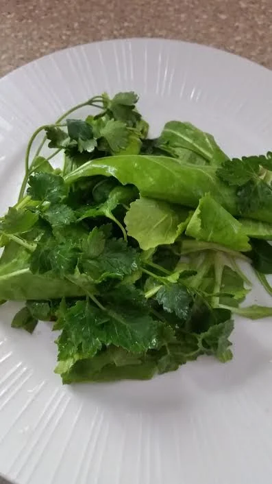 Salad Mix