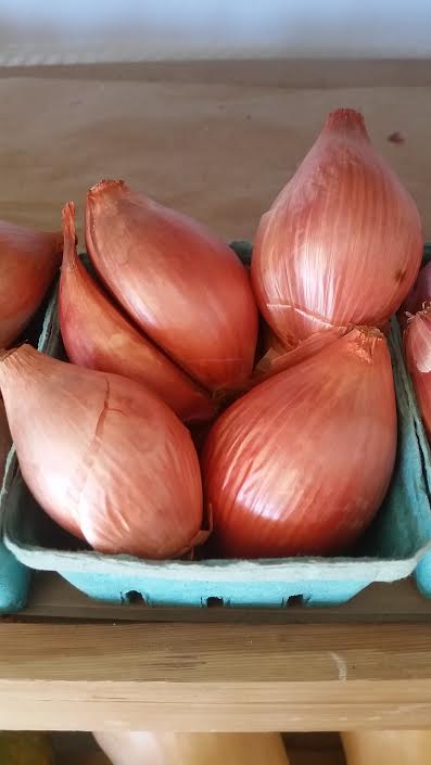 Shallots