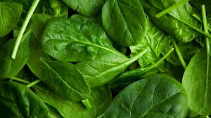 Spinach