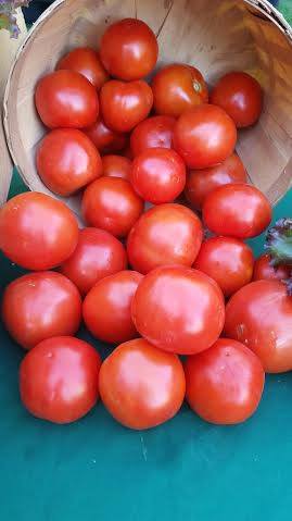 Tomatoes