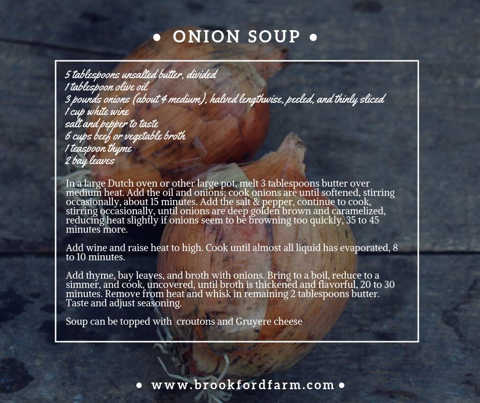 onion soup.jpg