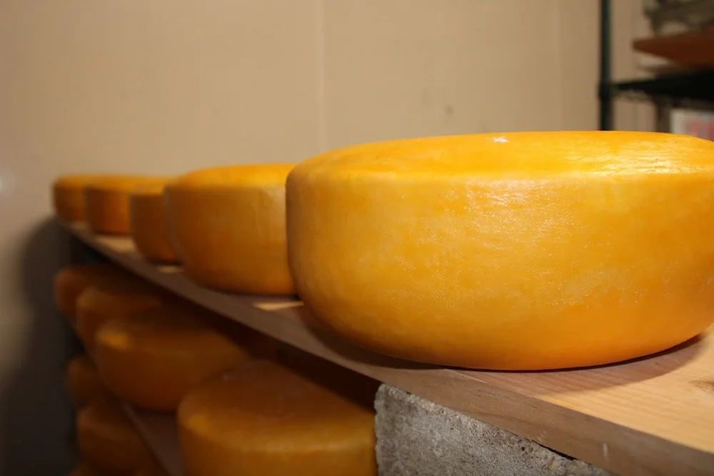 Our Farm Brookford Farm