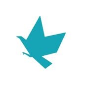 Turquoise Eaglejpeg.jpeg