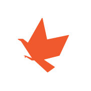 Orange Eagle.jpg