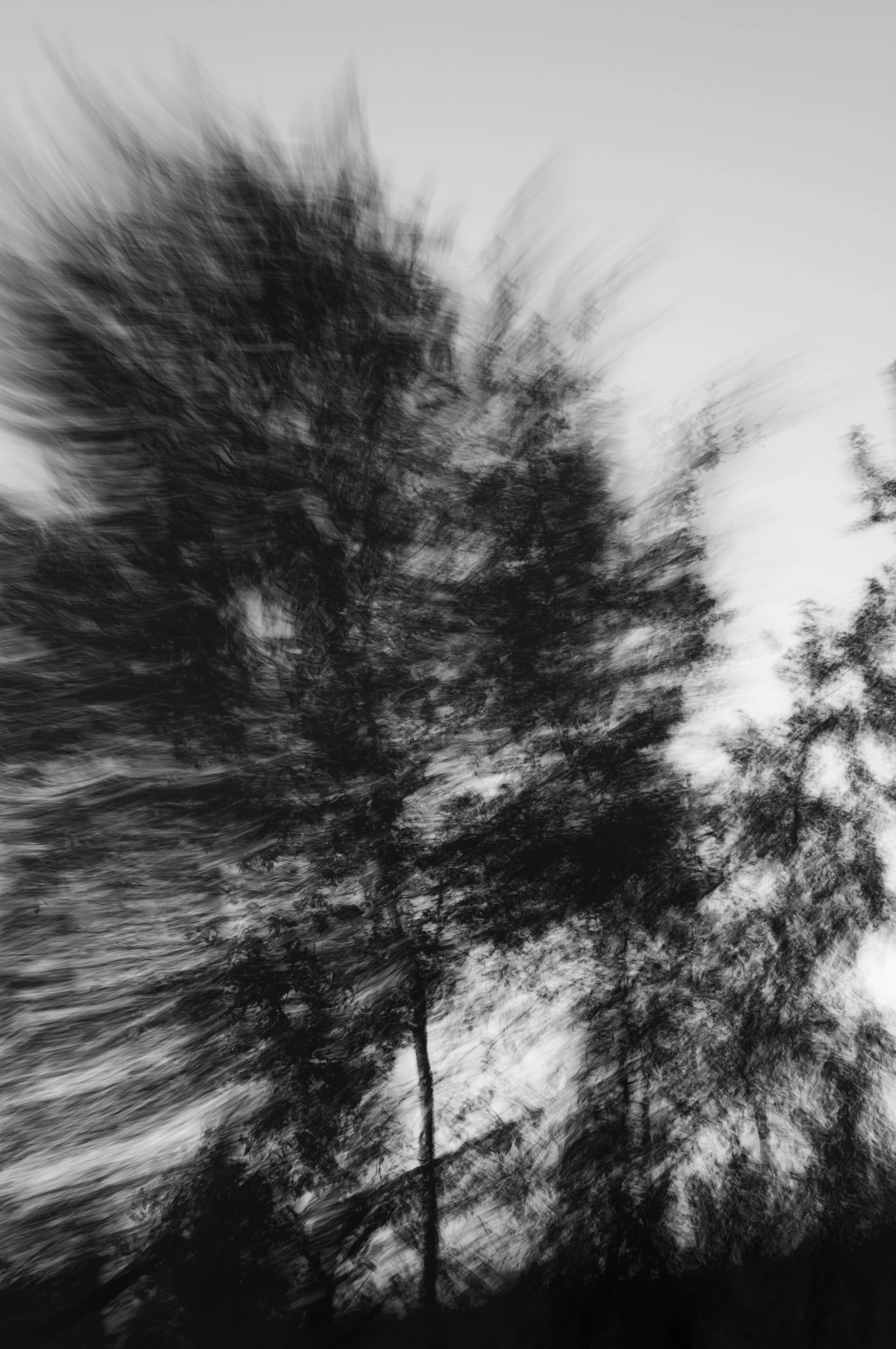 L1002520.jpg